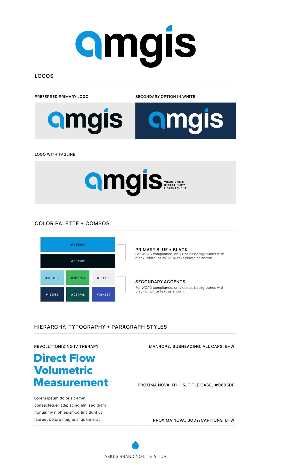 AMGIS one-page style guide showing logo lockups, the primary blue and accent palette, and the type hierarchy